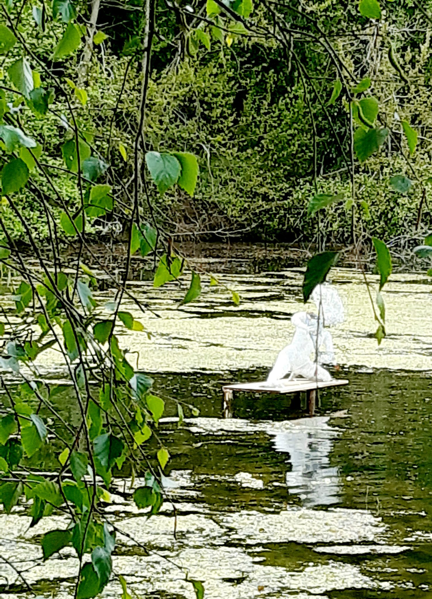 D'une Rive à l'Art