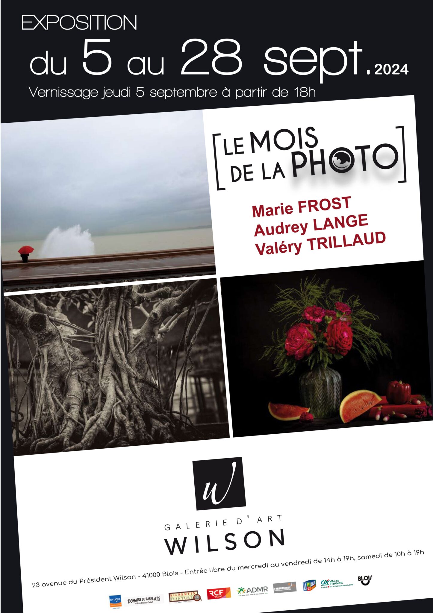 En Septembre, « Le Mois de la Photo ». Galerie Wilson, Blois