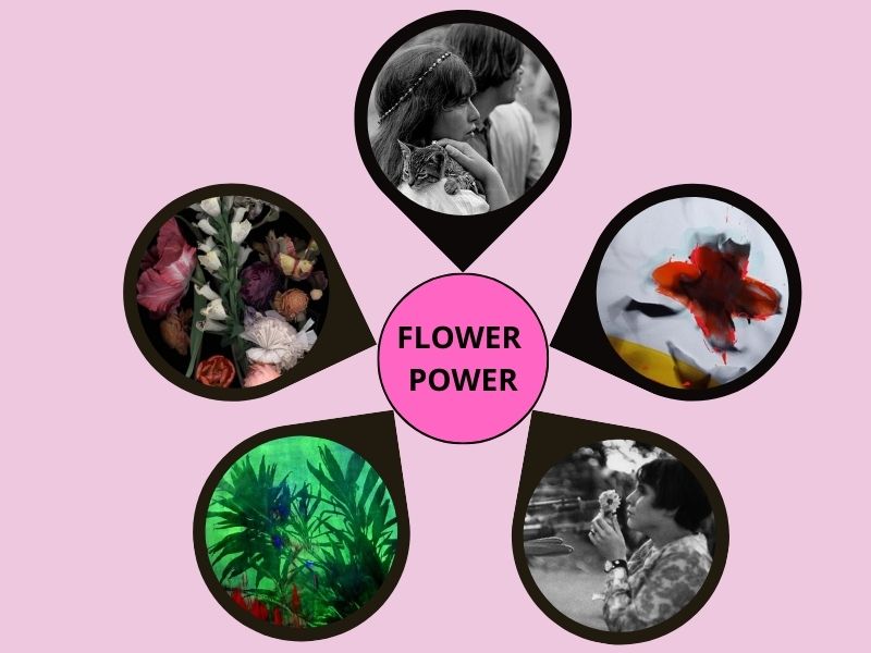 "Flower Power"