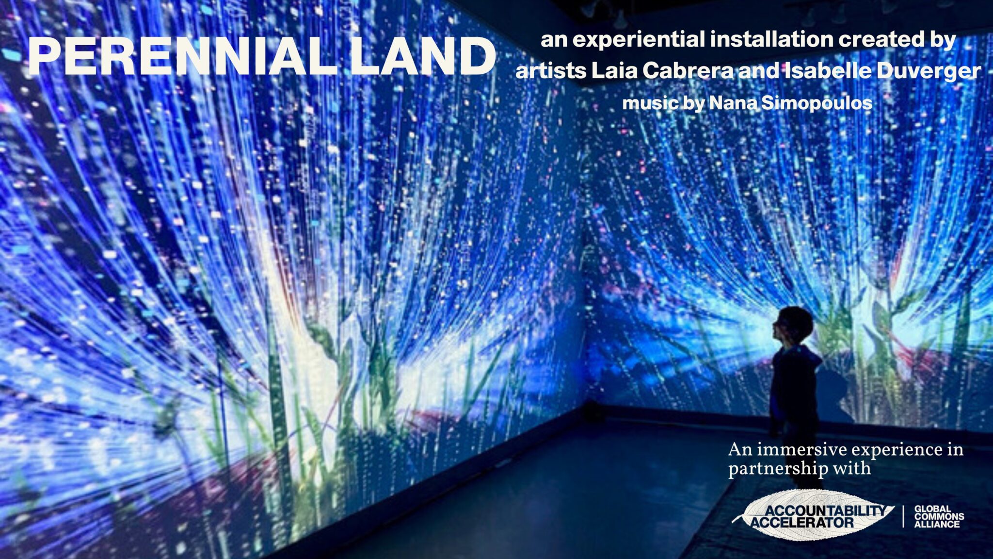 Perennial Land Immersive Installation