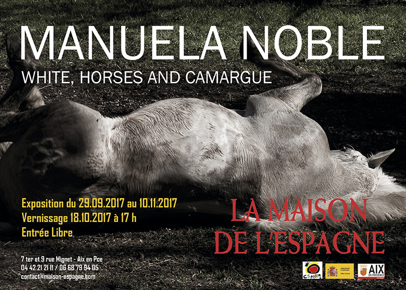 Exposition de photographies "White, Horses and Camargue"