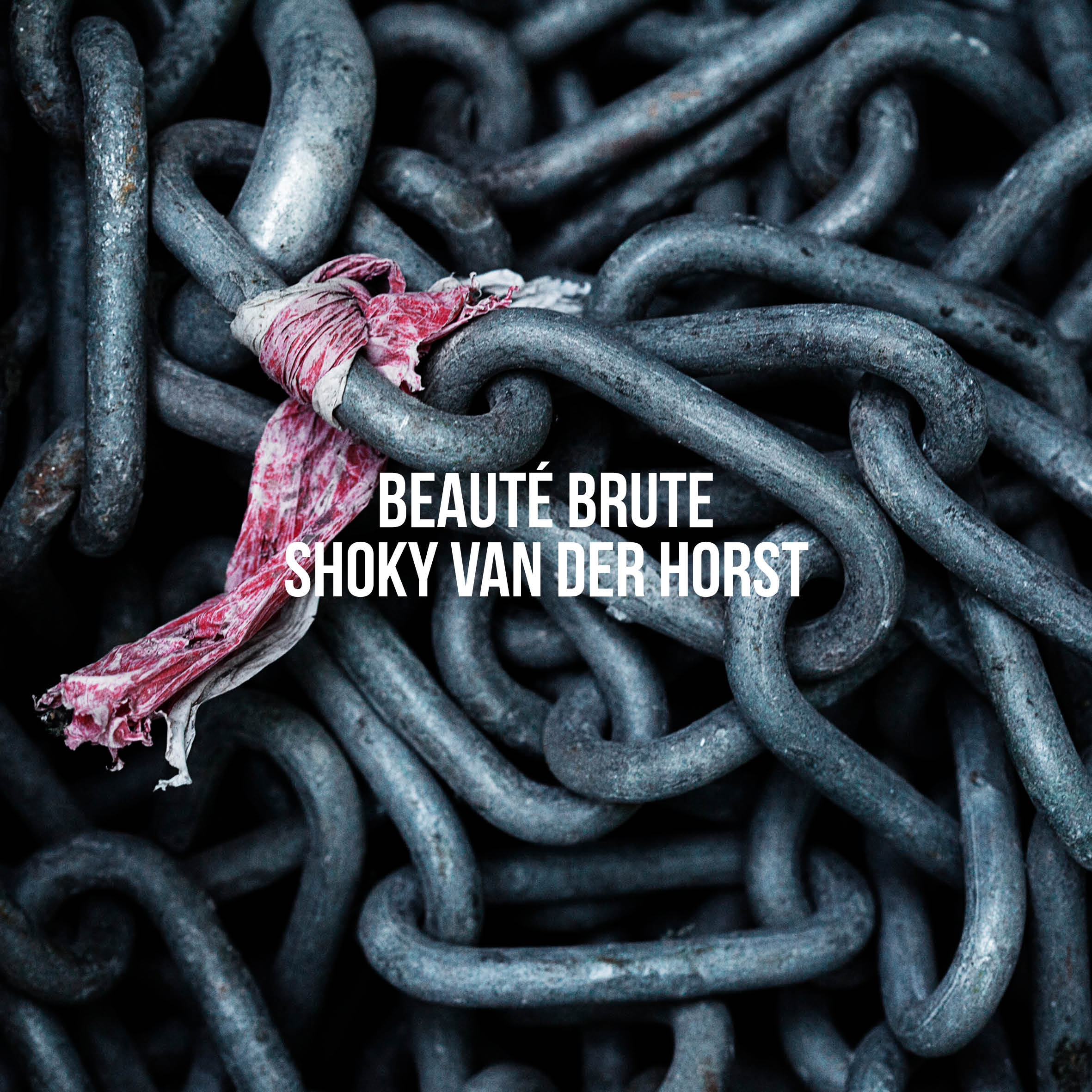 Beauté Brute de Shoky Van Der Horst