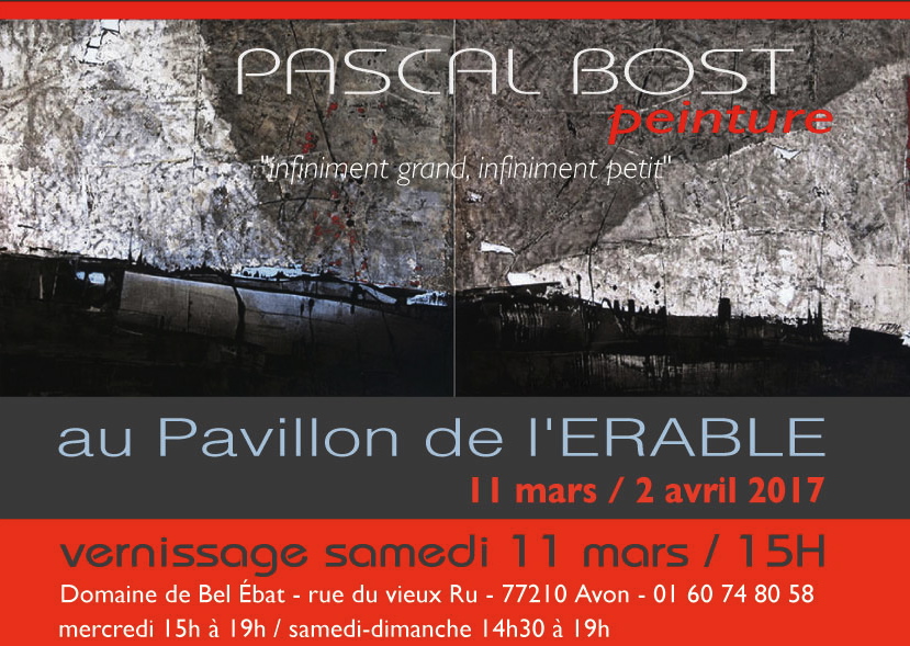 Exposition peintures / Pascal BOST / "Infiniment grand, infiniment petit"