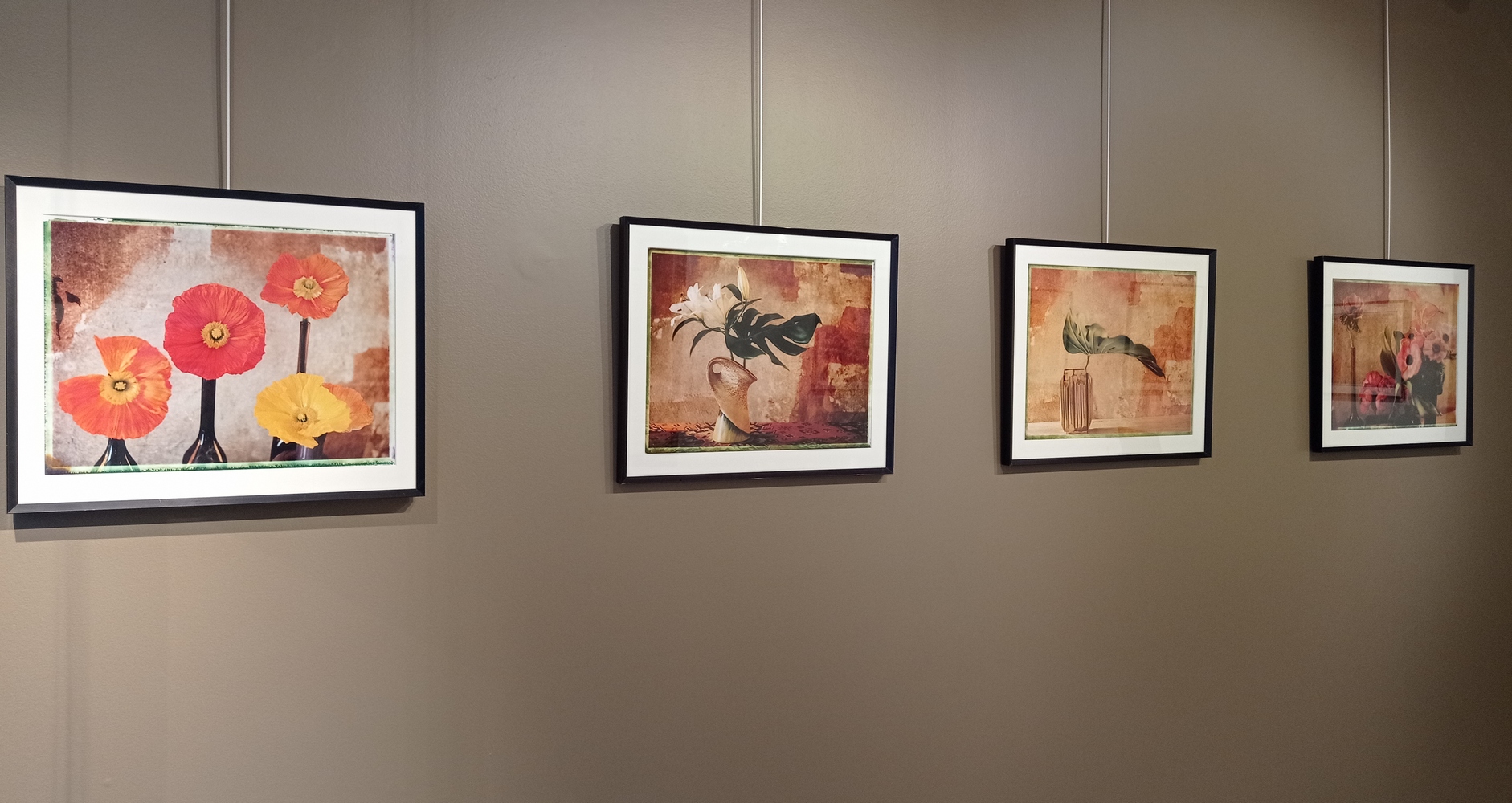 Exposition Photo "Still Life Polaroid" de Julien DRACH