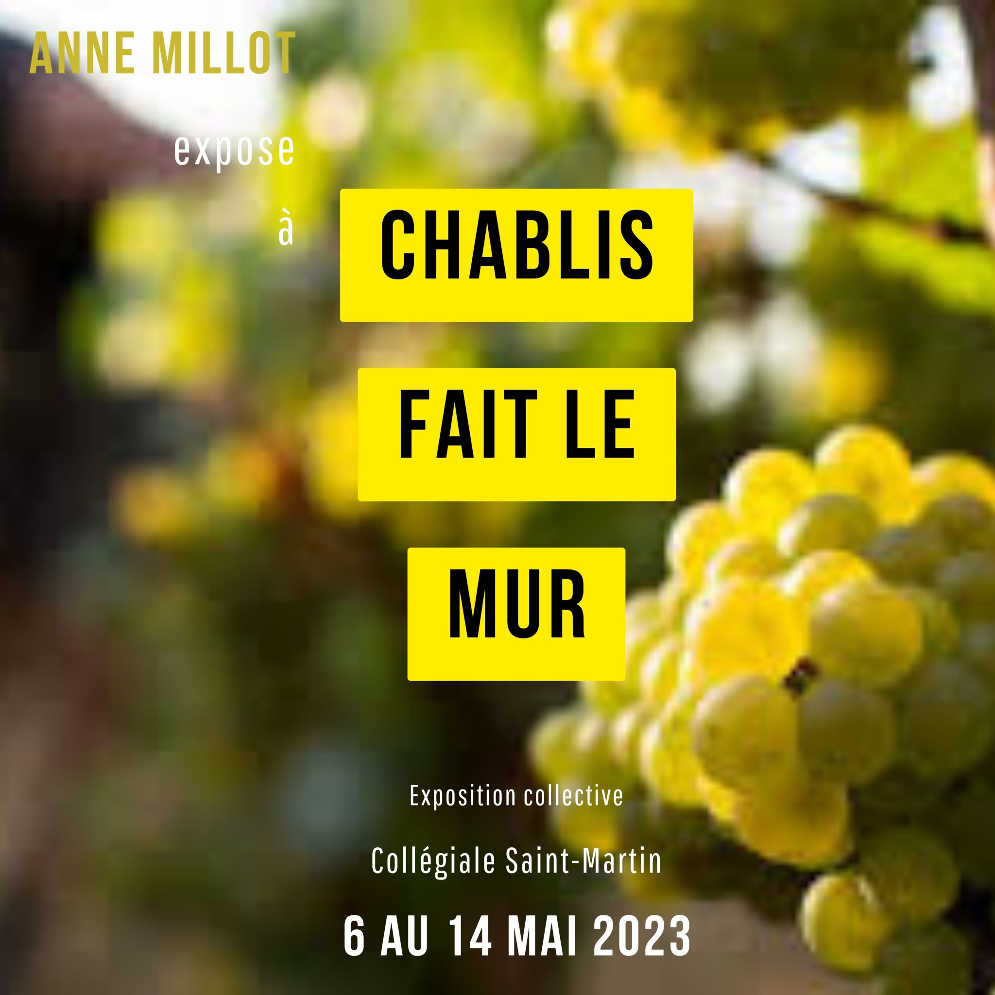 Chablis fait le mur