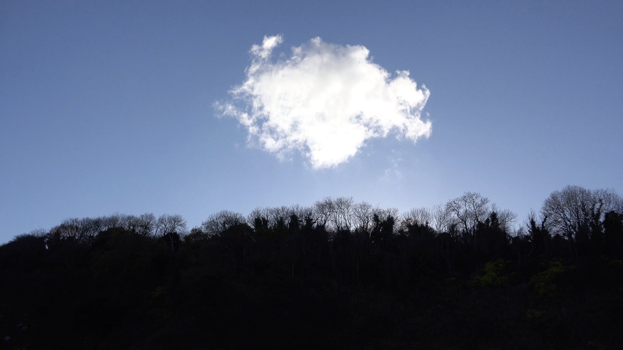 Marcel Dinahet - Epaves-Nuages