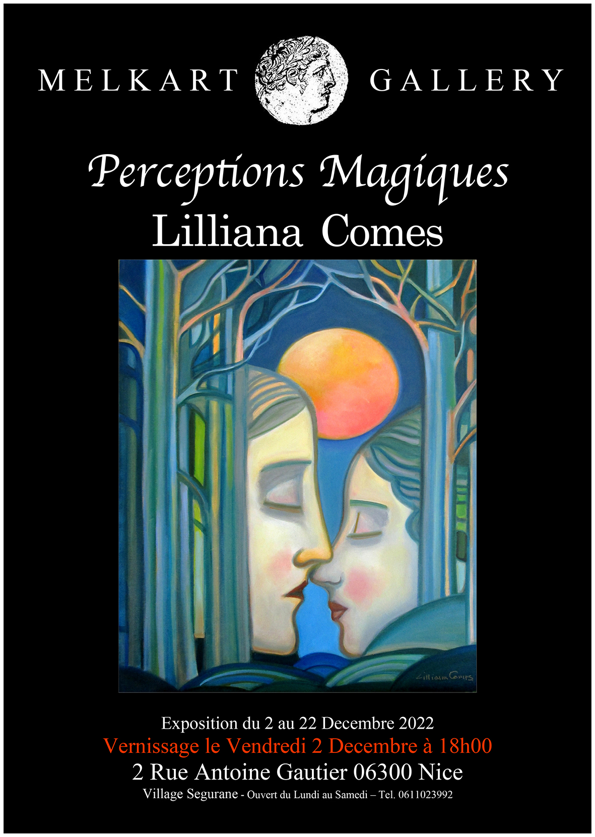 PERCEPTIONS MAGIQUES de Lilliana Comes