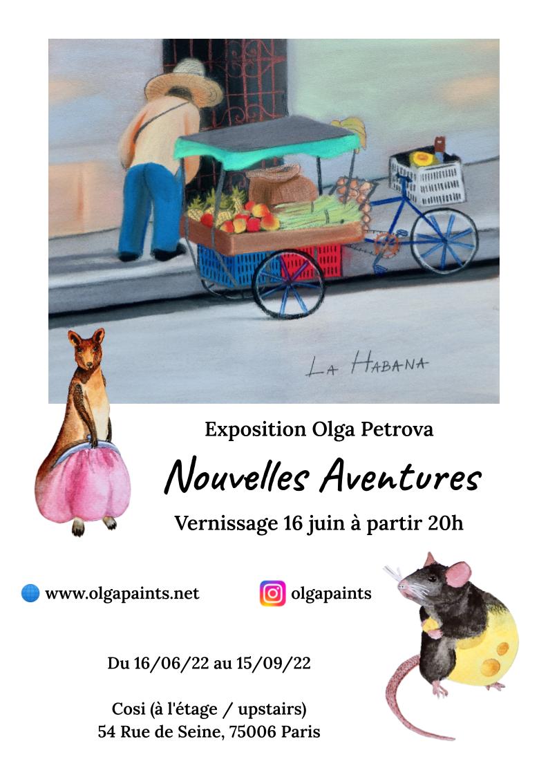 Nouvelles Aventures