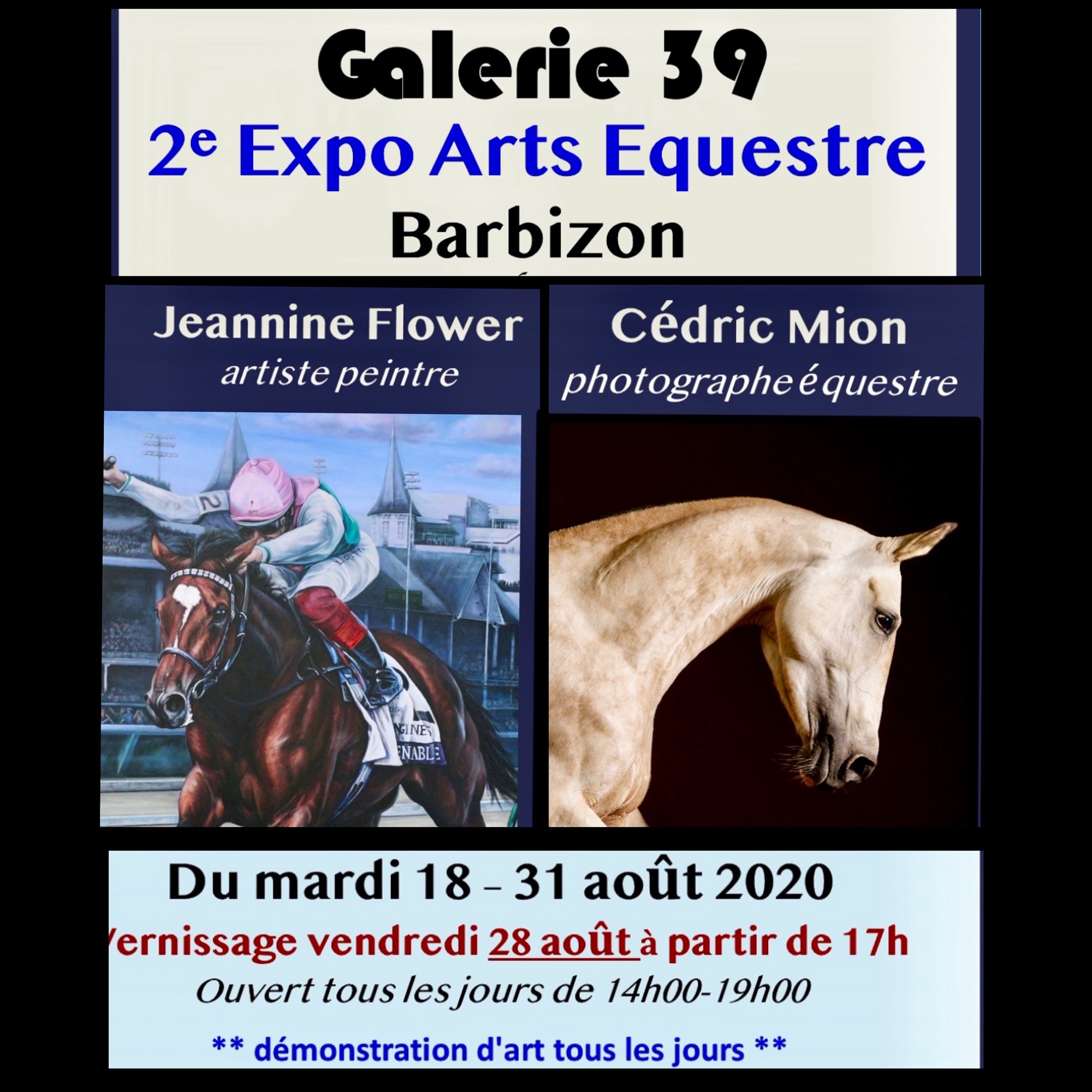 2eme Expo Arts Equestre