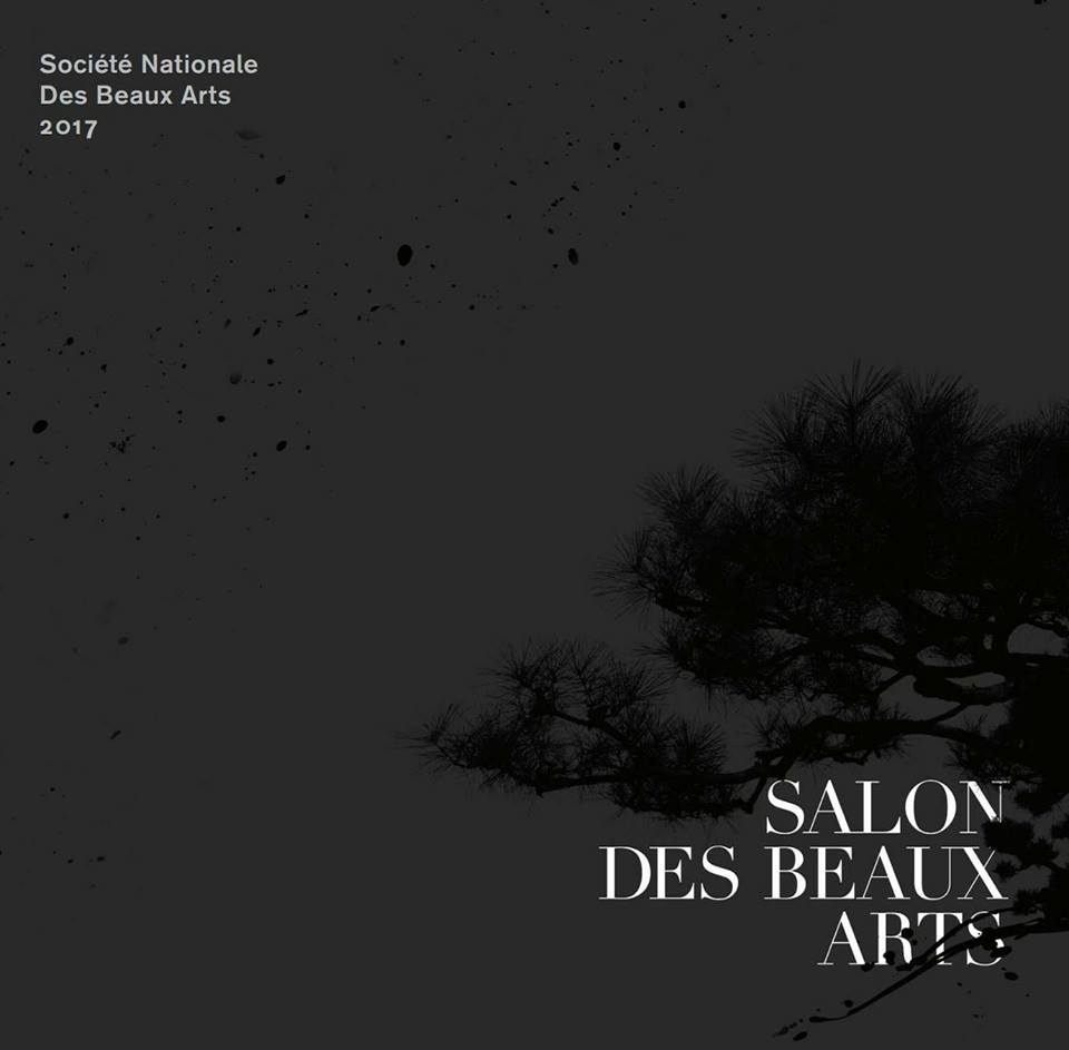 Salon des Beaux Arts 2017 - Société Nationale des Beaux Arts