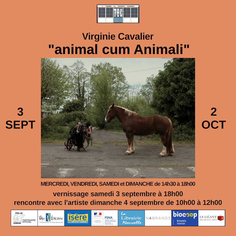 Virginie Cavalier "animal cum Animali"