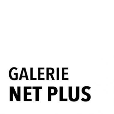 Illustration du profil de Galerie Net Plus*