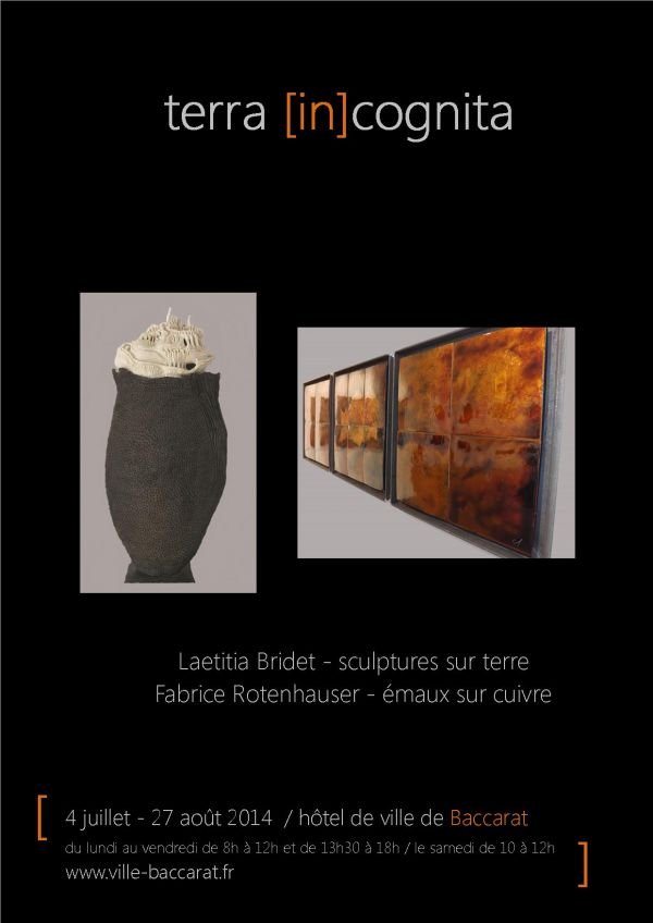 Fabrice Rotenhauser / Laetitia Bridet  "terra [in]cognita"