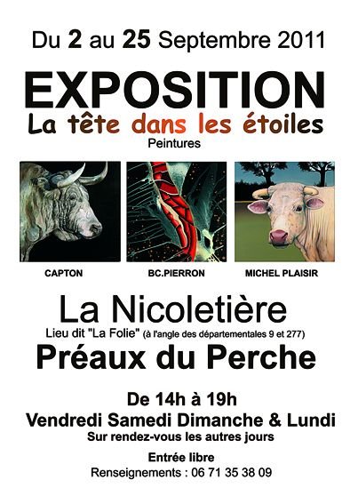 "LA TETE DANS LES ETOILES" exposition des peintres Bc. PIERRON, CAPTON et Michel PLAISIR 