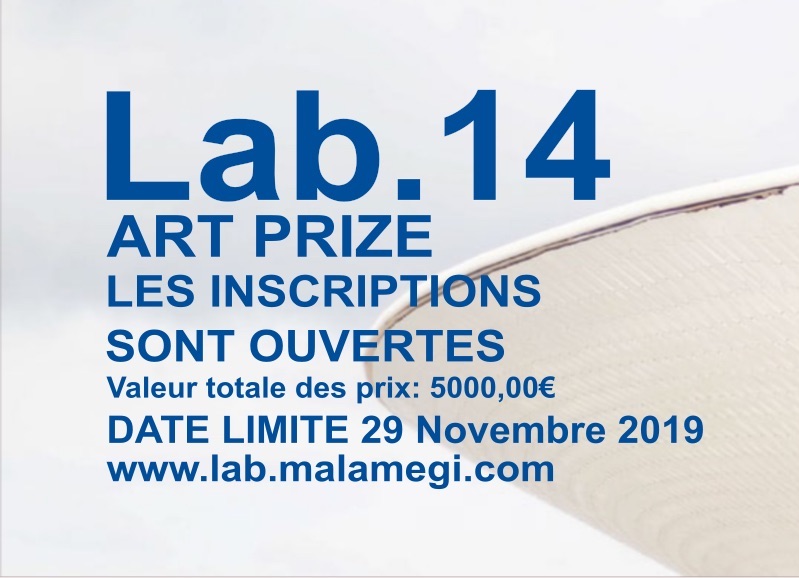 Lab.14 art contest