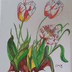 tulipes par Marie Noëlle LEROI