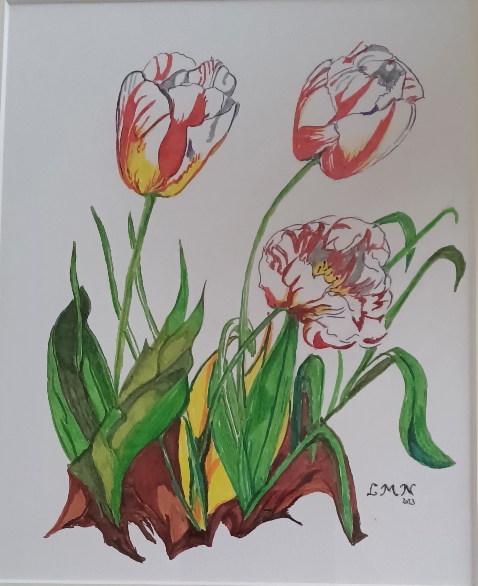 tulipes-7