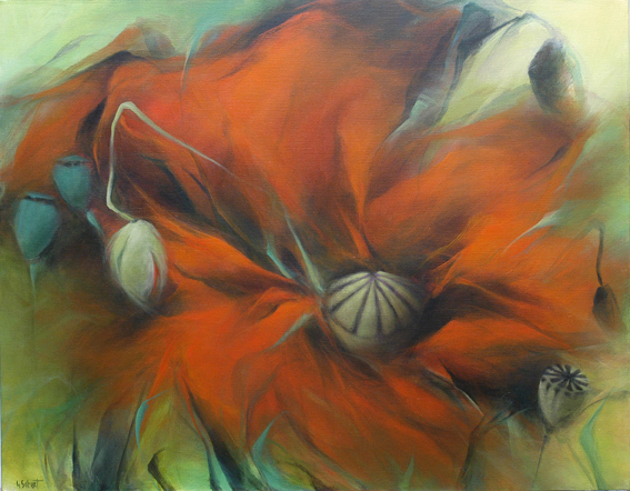 grand-coquelicot-114x146