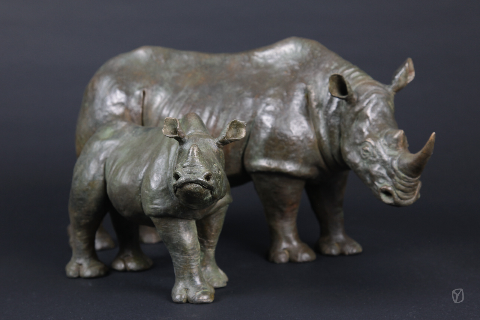 rhinos-2