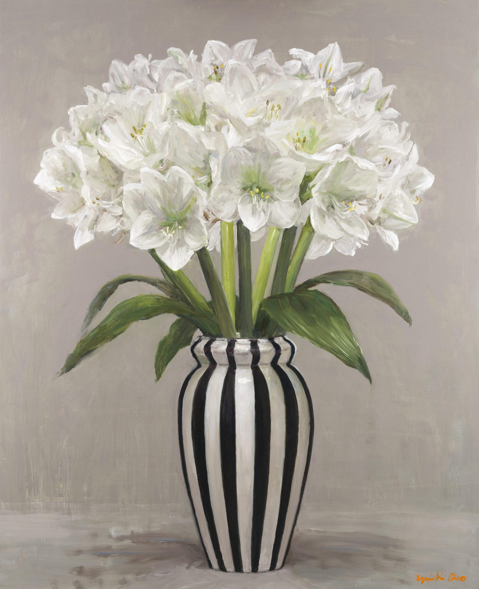 amaryllis-dans-le-vase-a-rayures