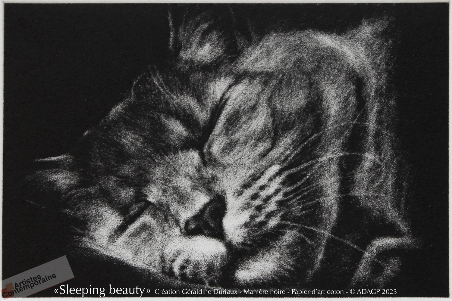 sleeping-beauty