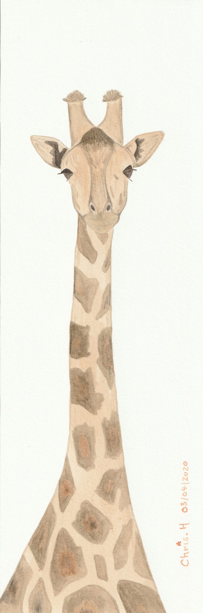 girafe