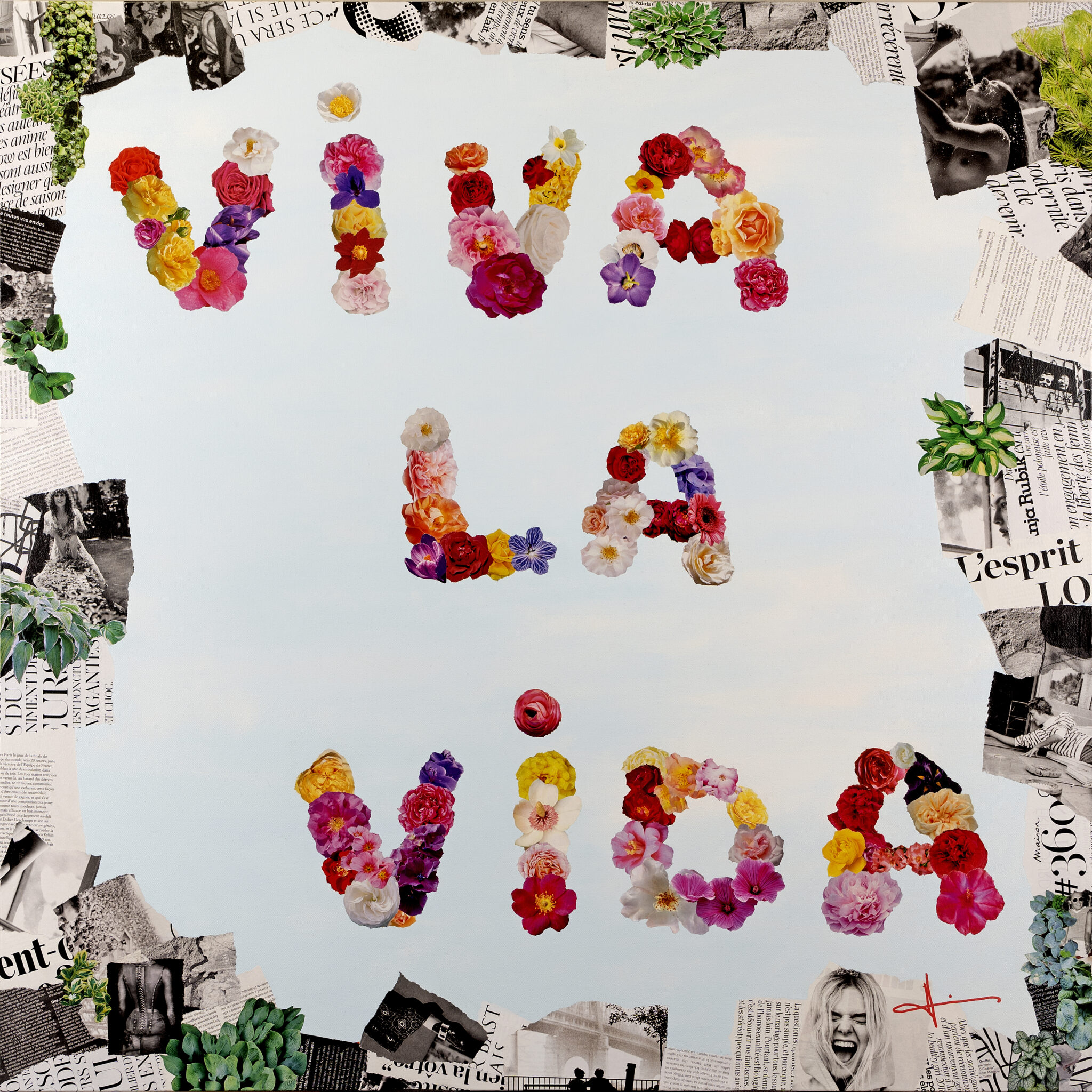 viva-la-vida-5