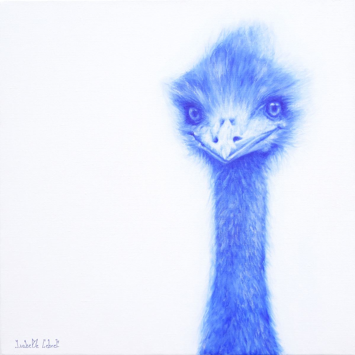 lemeu-emu