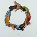 Le Nouvel Ouroboros