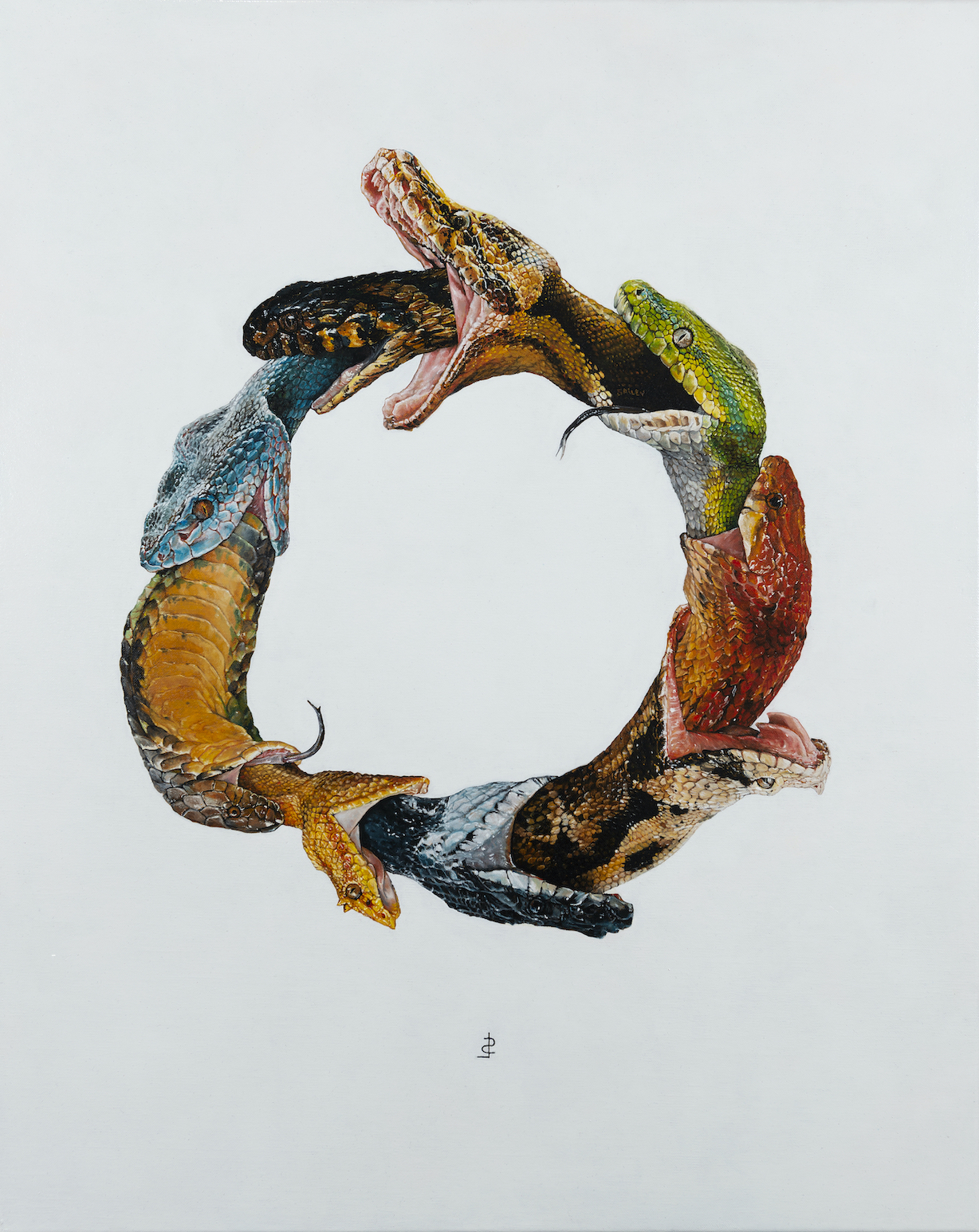 le-nouvel-ouroboros