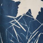 Cyanotype 1