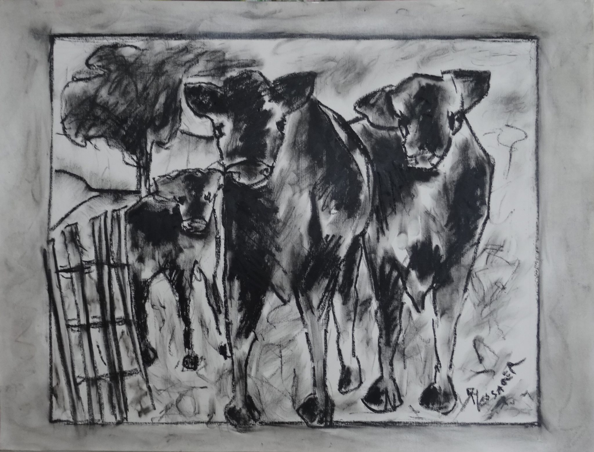 les-vaches-noires