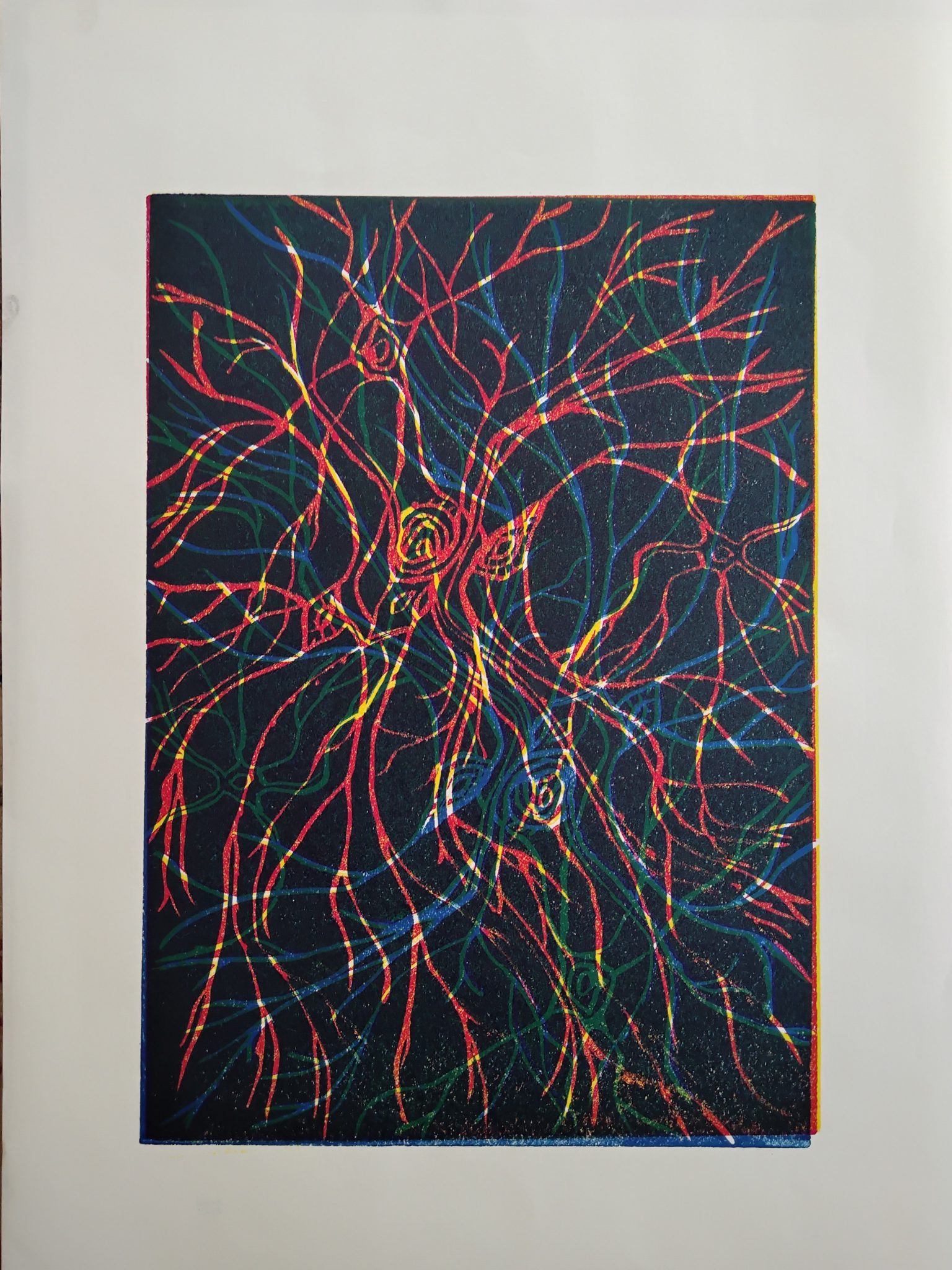 neurones-2