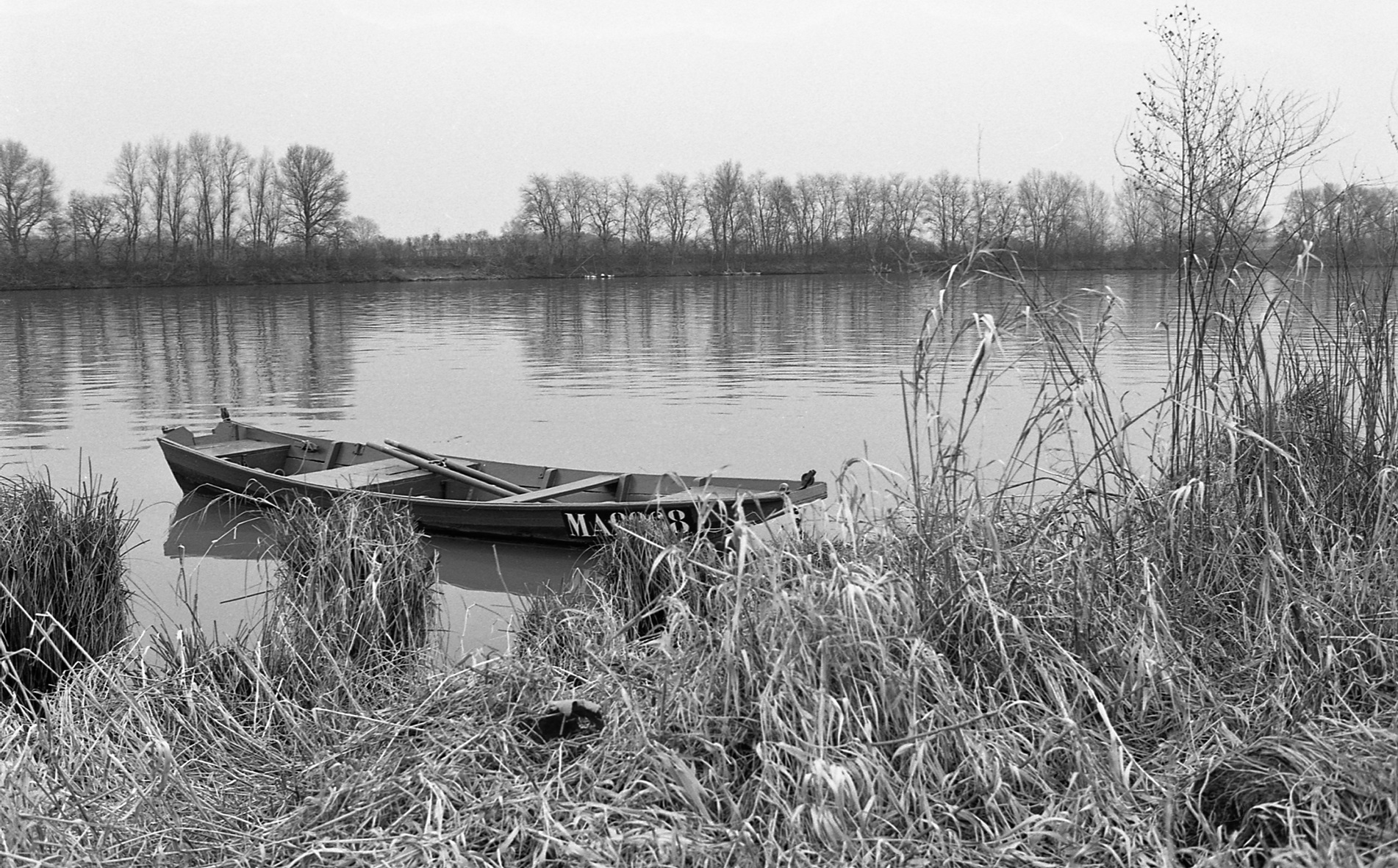 la-barque-ma2868-saint-bernard-1981