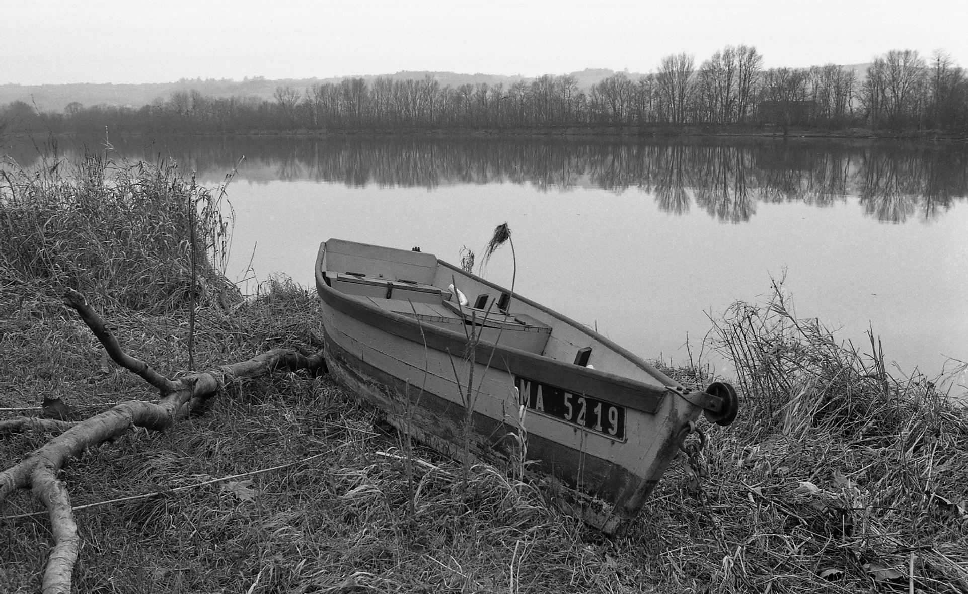 la-barque-ma5219-1-saint6bernard-1981