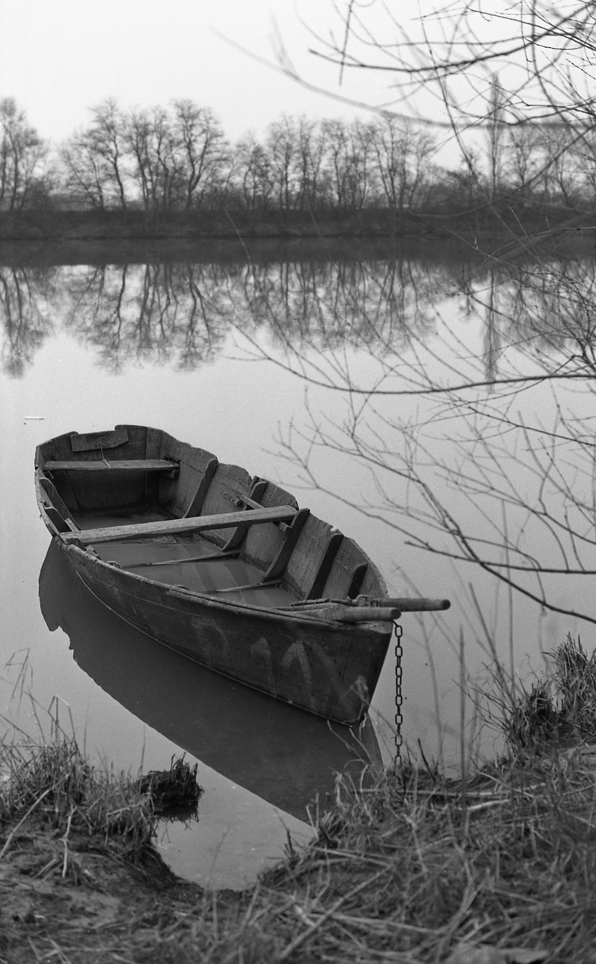 la-barque-p11-1-saint-bernard-1981-2