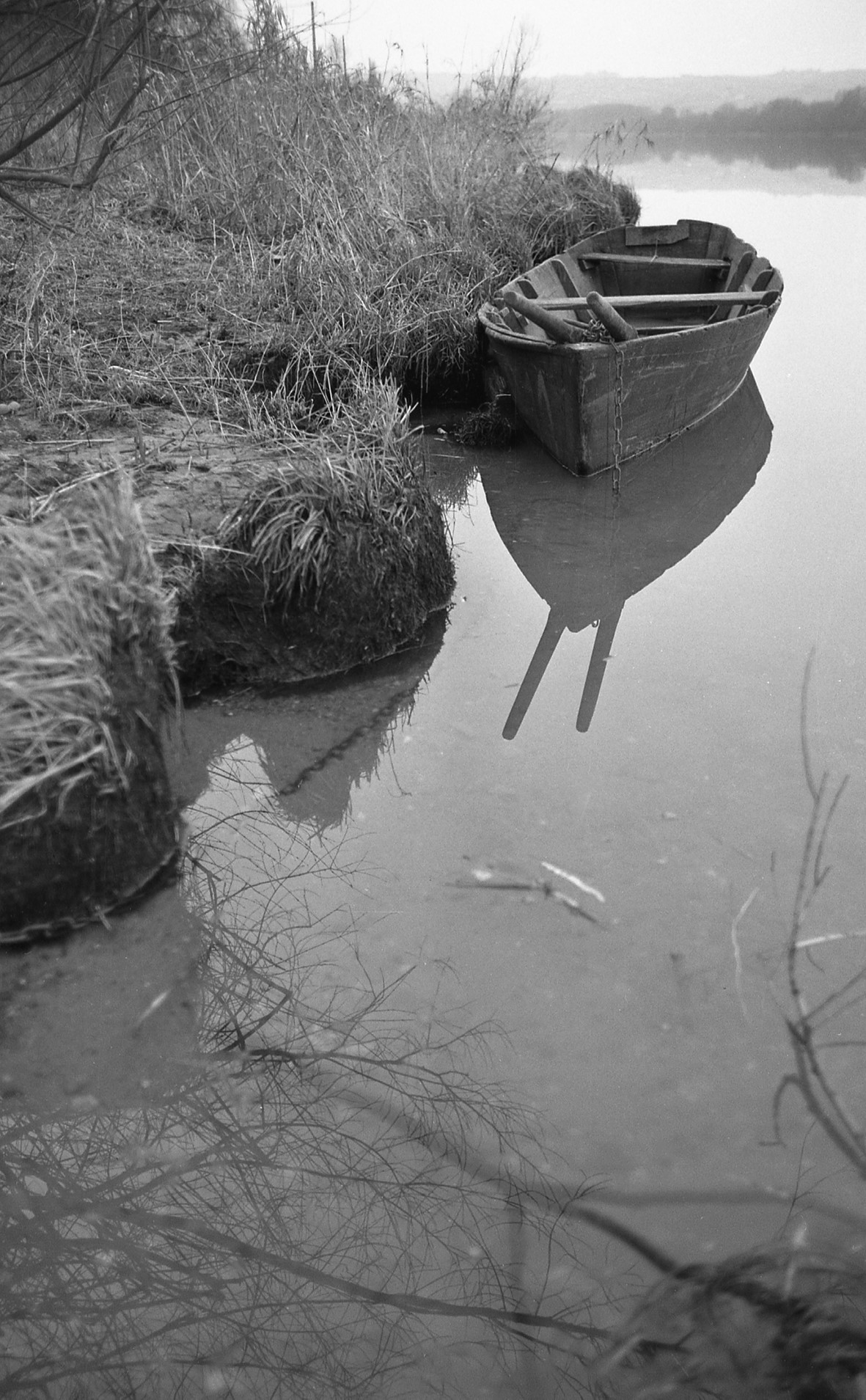 la-barque-p11-2-saint-bernard-1981