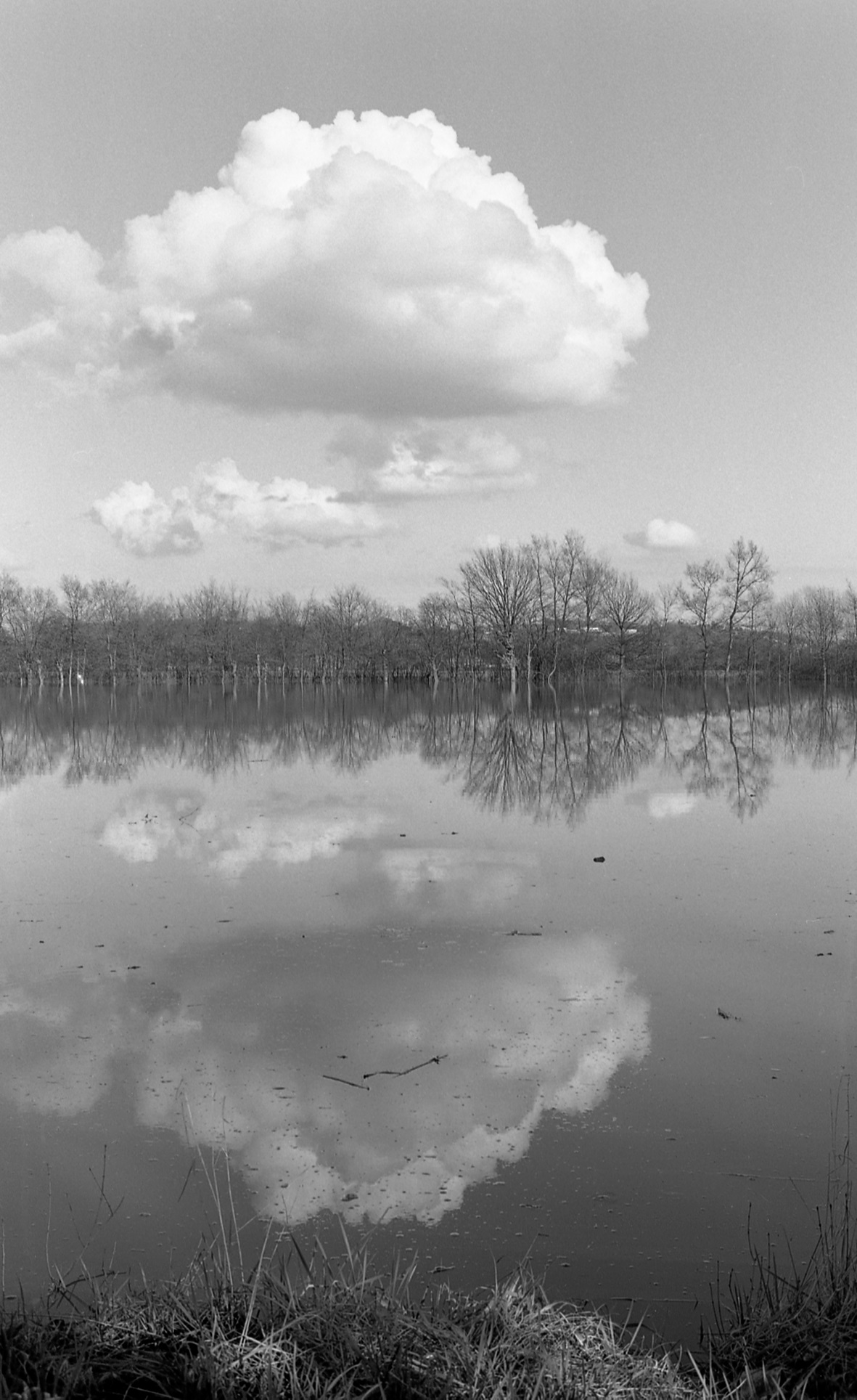 reflets-des-nuages-2-saint-bernard-1981