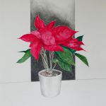 poinsettia