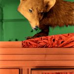 Renard sur une armoire par Laurent Villepontoux