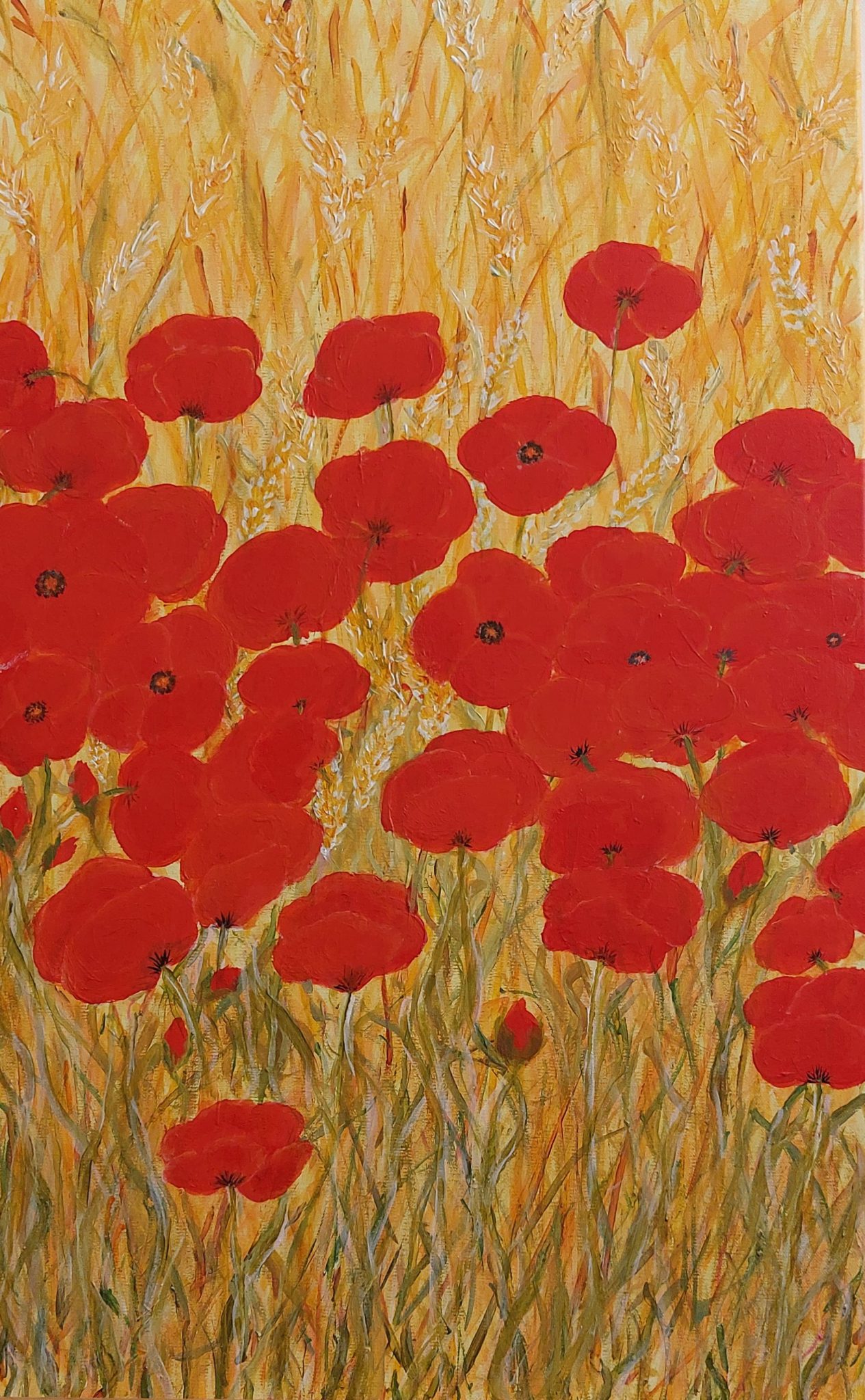 coquelicots-dans-les-bles