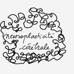 Neuroplasticité 1 par Anne-Marie Rastel Téoua