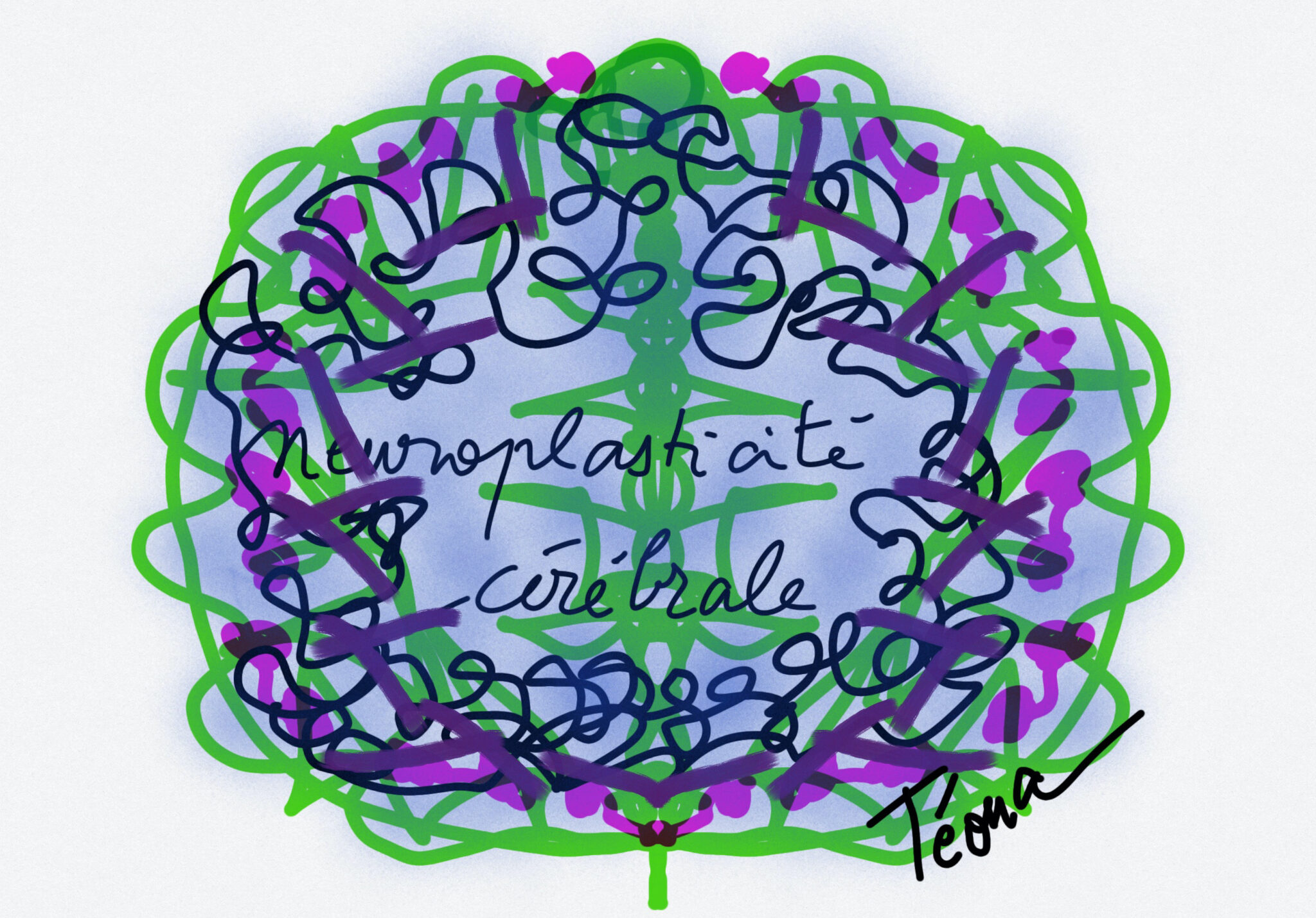 neuroplasticite-2