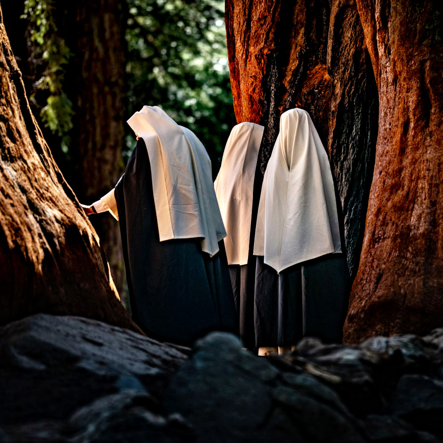 sequoia-parc-nuns