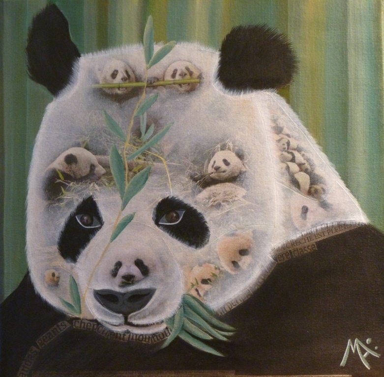 panda