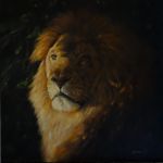 portrait lion clair obscur