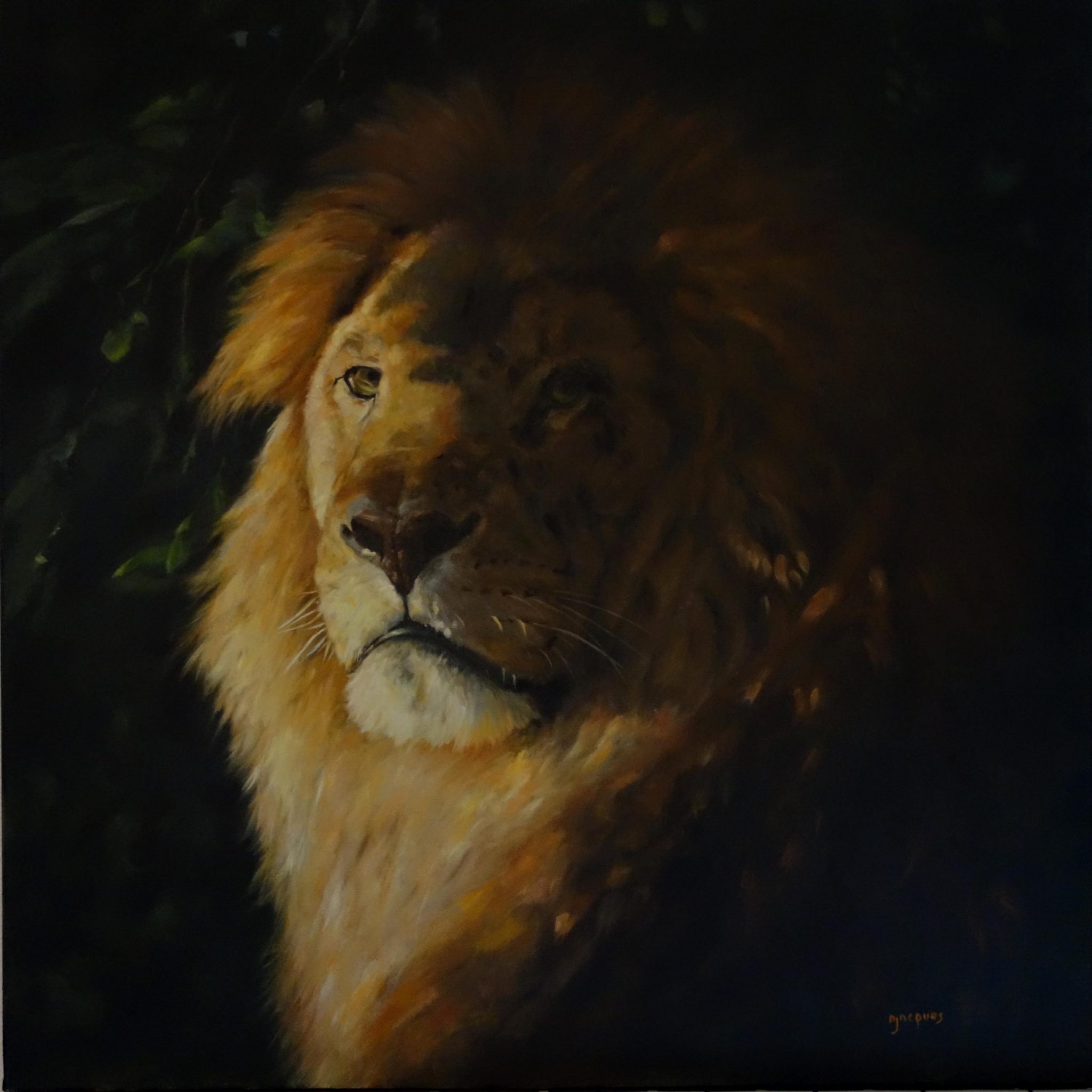 portrait-lion-clair-obscur