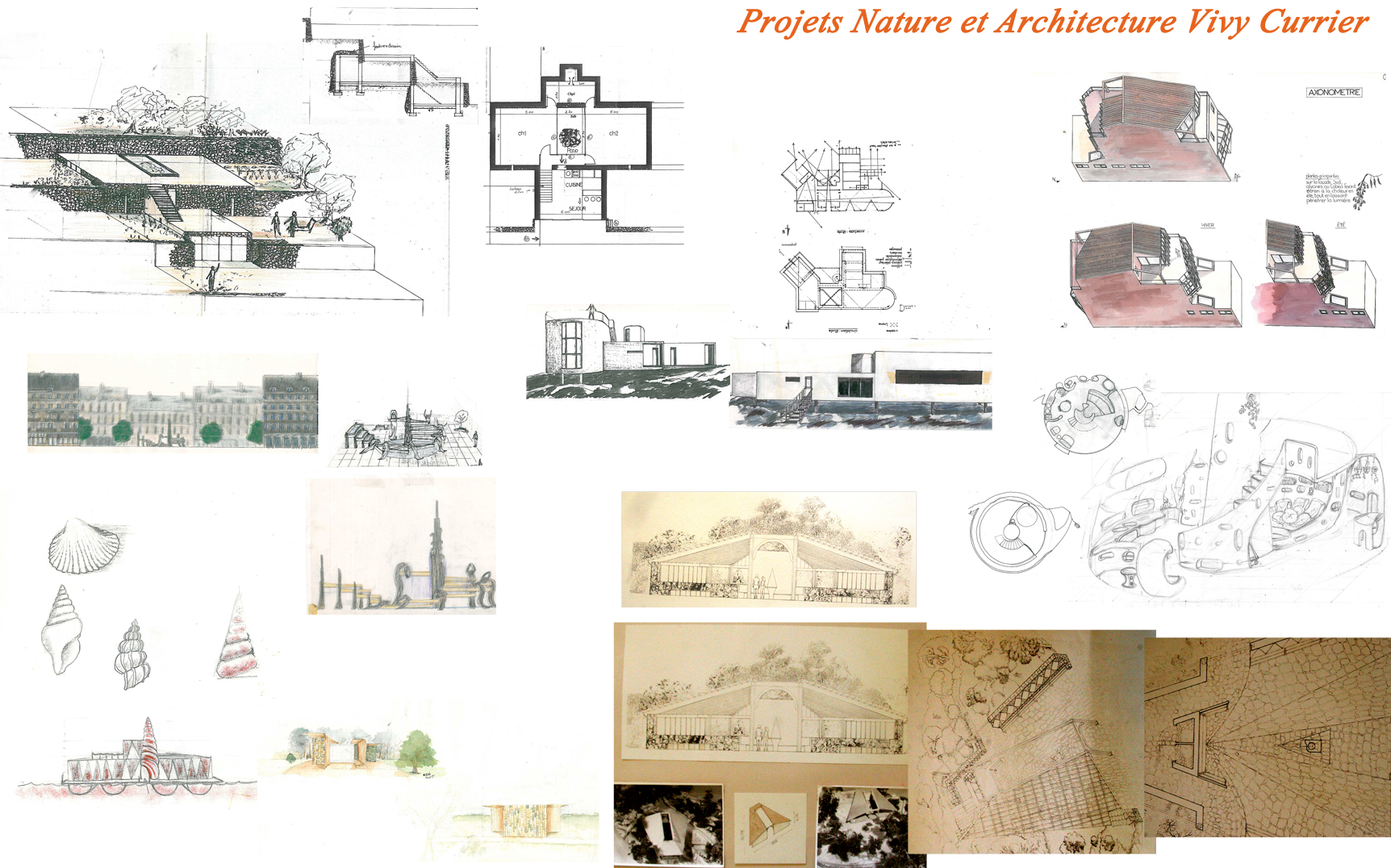 projets-nature-et-archi-vivy-currier1