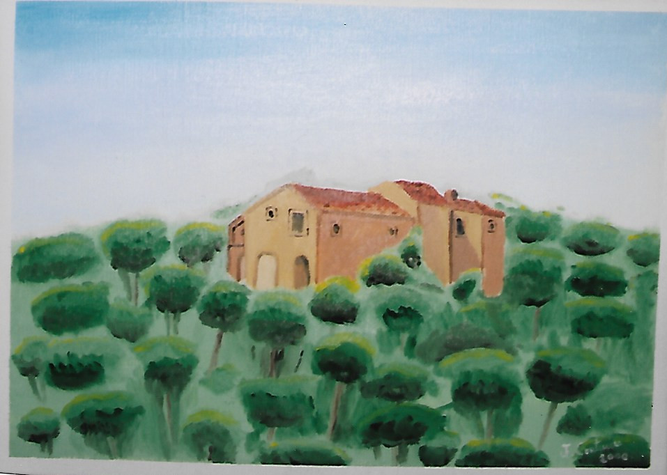 paysage-de-provence