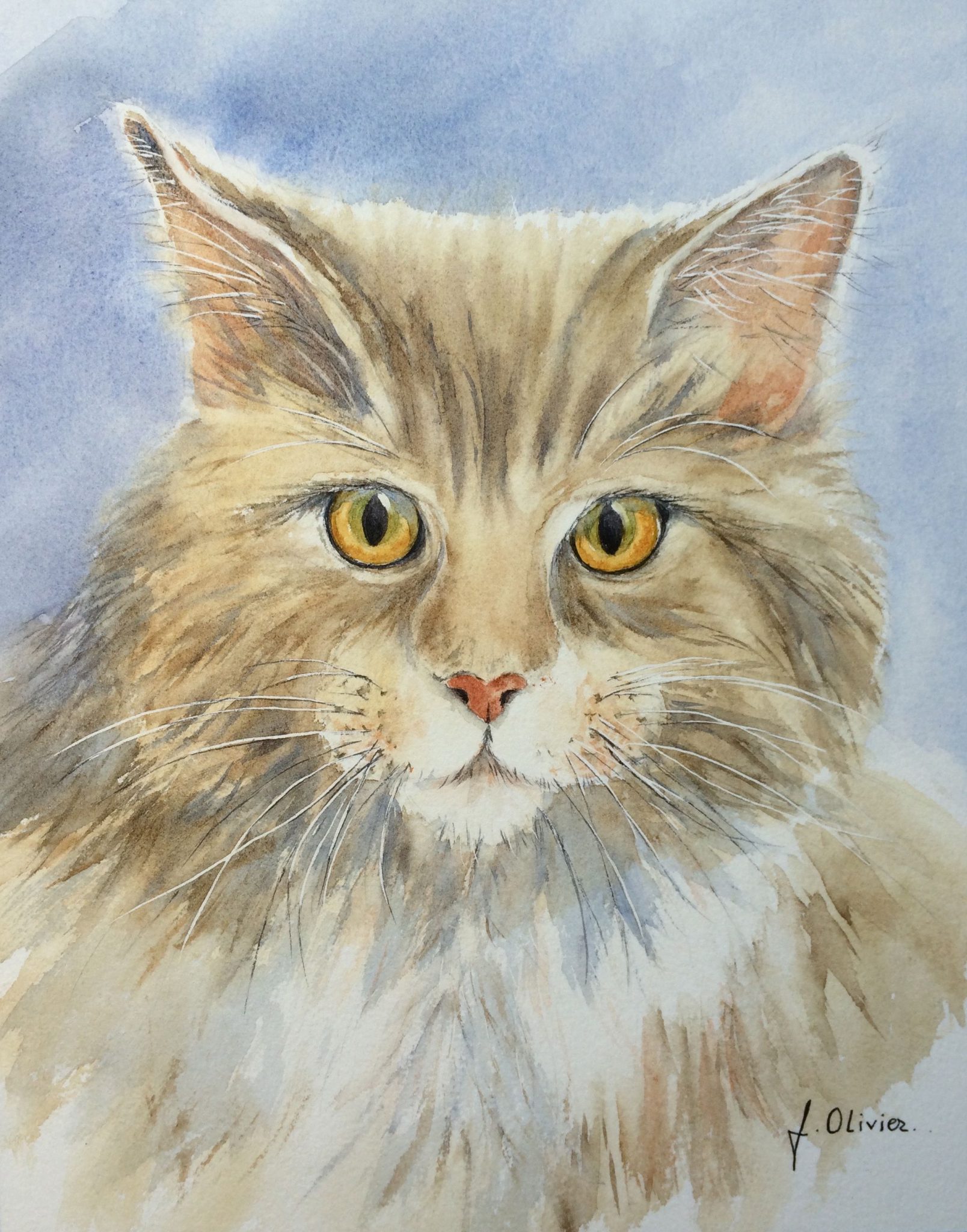 portrait-chat-norvegien